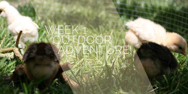One Week: Outdoor Adventure!