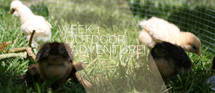 One Week: Outdoor Adventure!